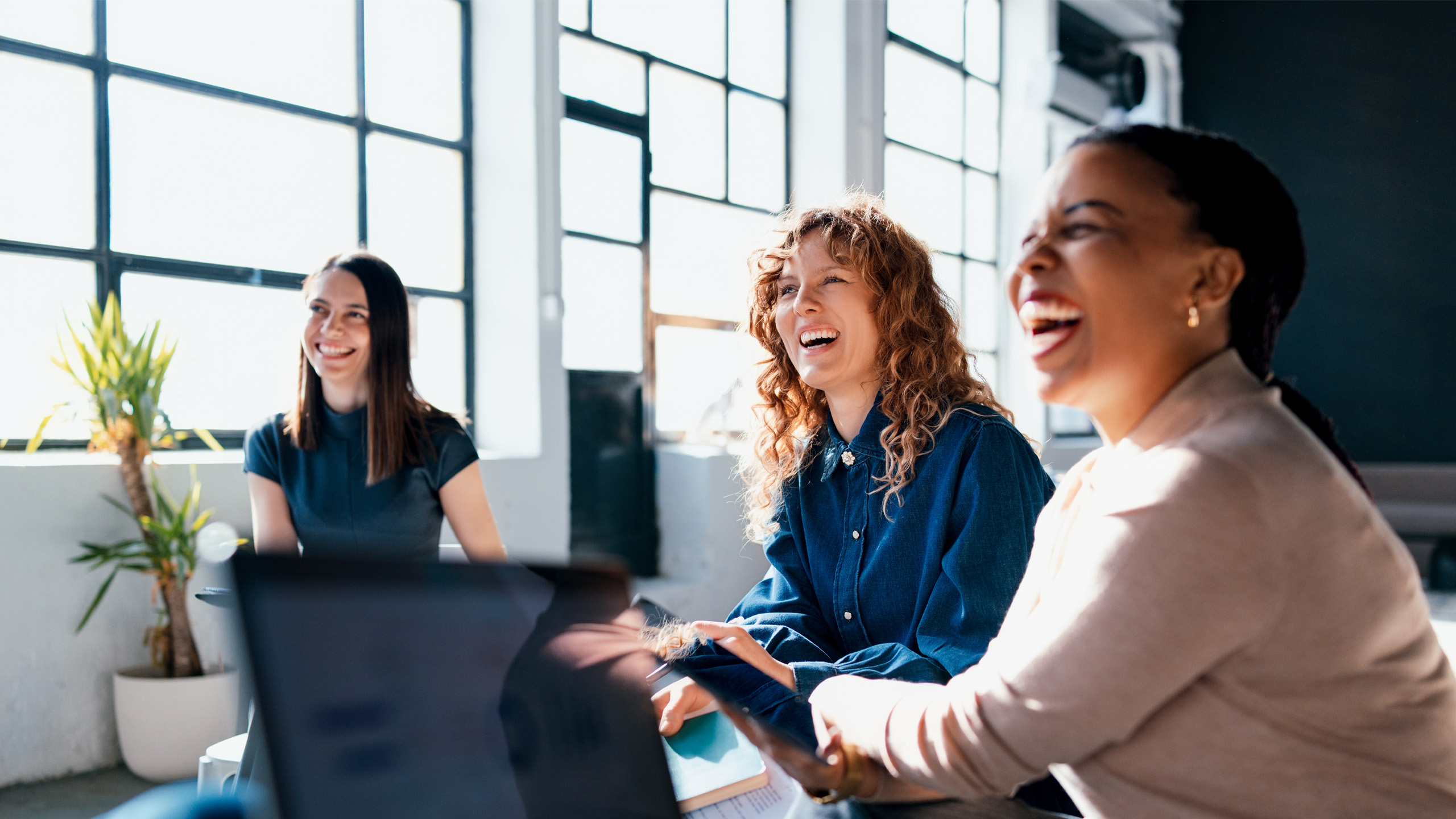 GettyImages-2203913978_Spiegel