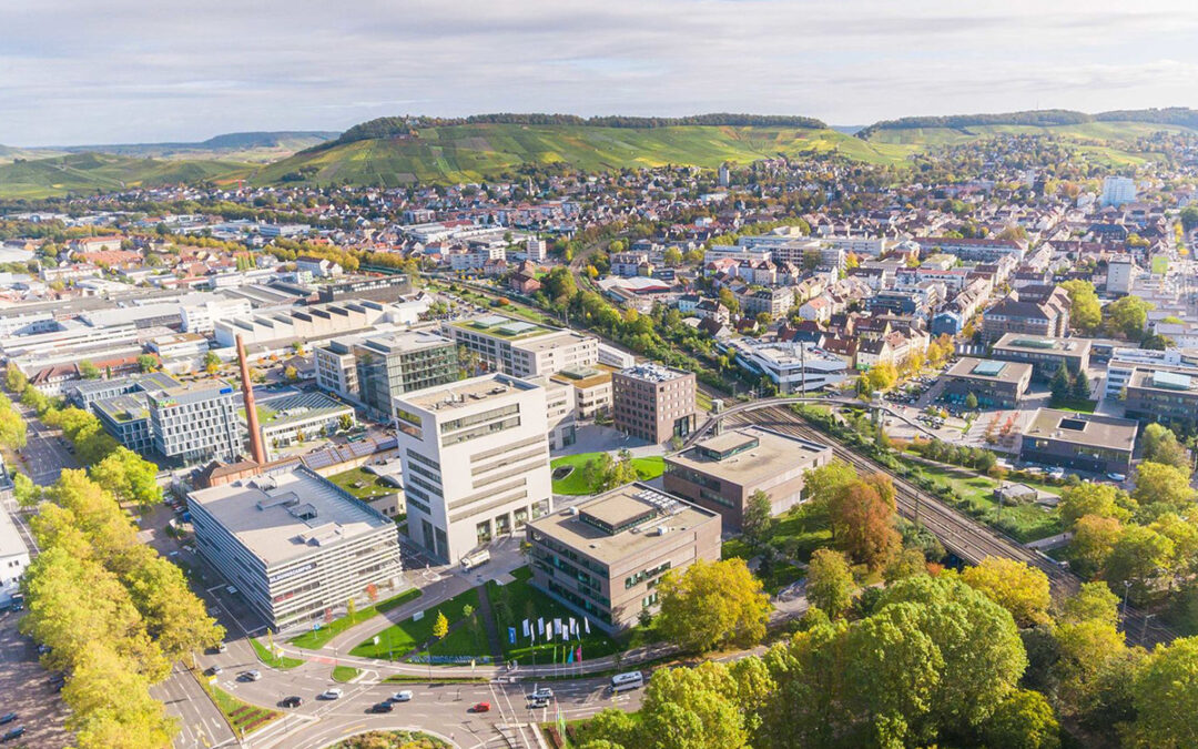 Projektförderung in Heilbronn: Wie lassen sich Kultur und Nachhaltigkeit verbinden?
